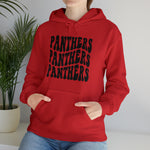 Panthers Unisex Heavy Blend™ Hooded Sweatshirt